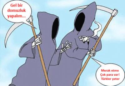 Domuz gribi alarmında bir domuzluk var!