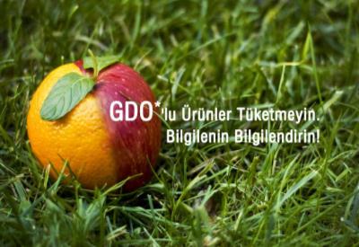 GDO'lu ürünler de artış