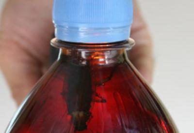 Coca Cola ürünlerine alkol eklediğini kabul etti