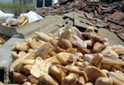 Yılda 1,3 milyar ton gıda çöpe