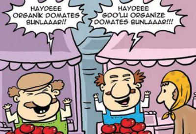 Danıştay'dan GDO'ya 'ispat' ayarı