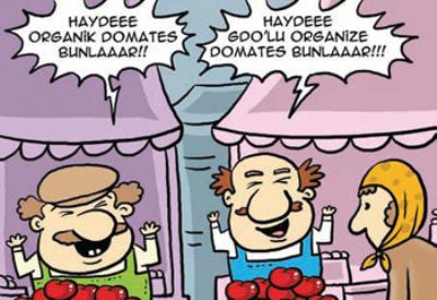 Bu haber GDO'lu: Mersin'deki operasyon: GDO mu ABD mi?
