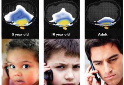 WiFi tohum, sperm ve yumurtayı nasıl etkiler?